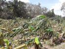 Cyclone Mannadipet commune, puducherry